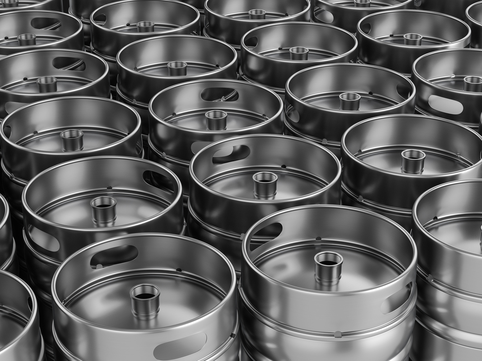 Stainless Beer Kegs